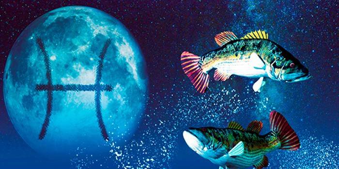 Imagen del signo zodiacal Piscis.