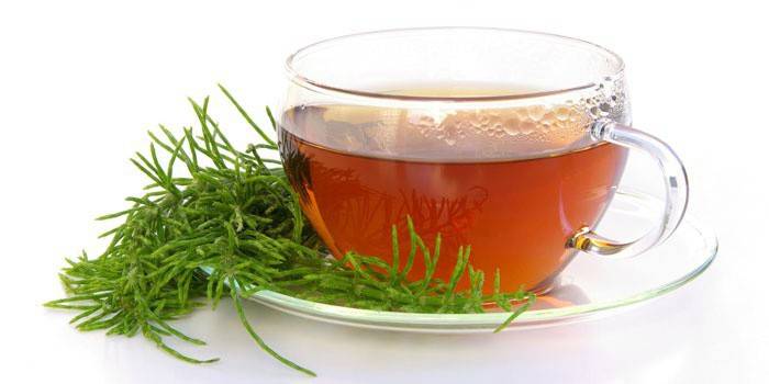Infusão de rabo de cavalo em um copo