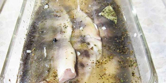 Canales de pescado bajo una marinada blanca