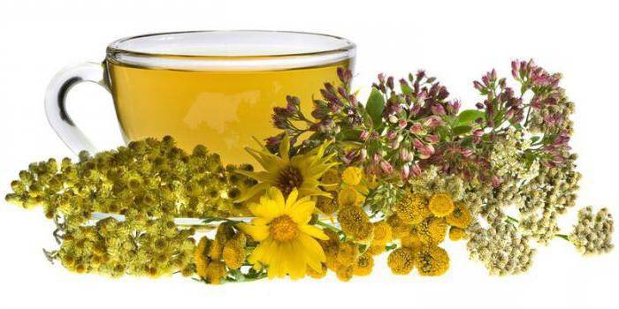 Taça com decocção e ervas medicinais