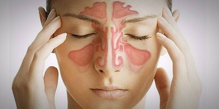 Anatomia kliniczna i fizjologia nosa