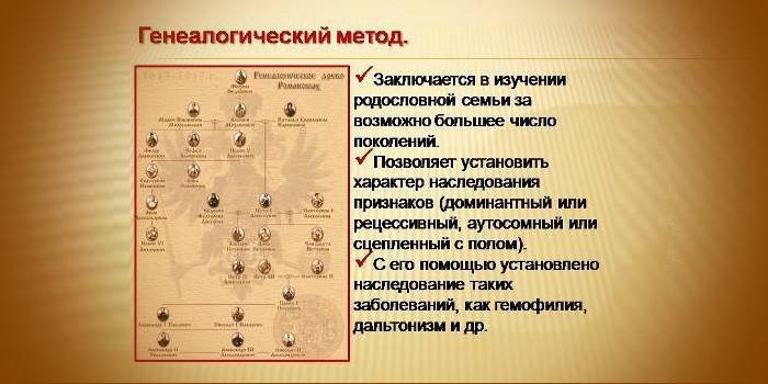 Výsledky metódy genealogického výskumu
