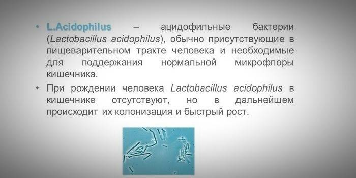 Zalety bakterii acidophilus