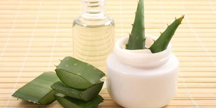 Folhas de aloe