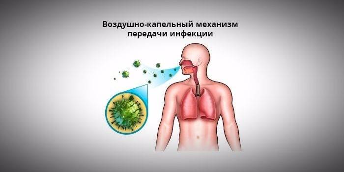Начини за заразяване с гъбична пневмония