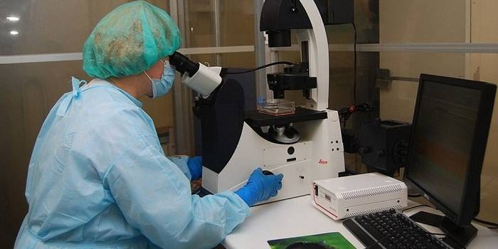 Laboratuar asistanı mikroskop altında araştırma yapar