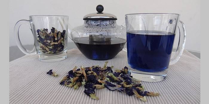 Chá azul fabricado com uma xícara e bule de chá