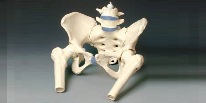 Modelo ilíaco