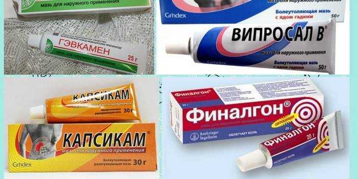 Analógy Capsicam