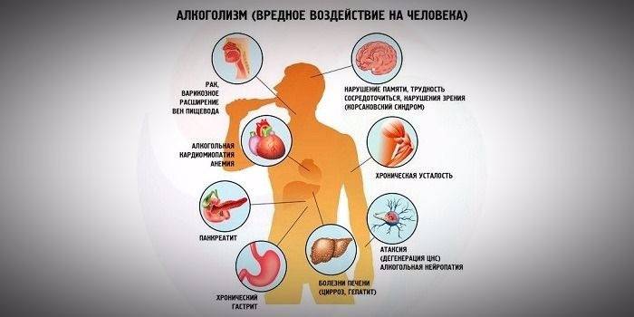 Vplyv alkoholu na organizmus