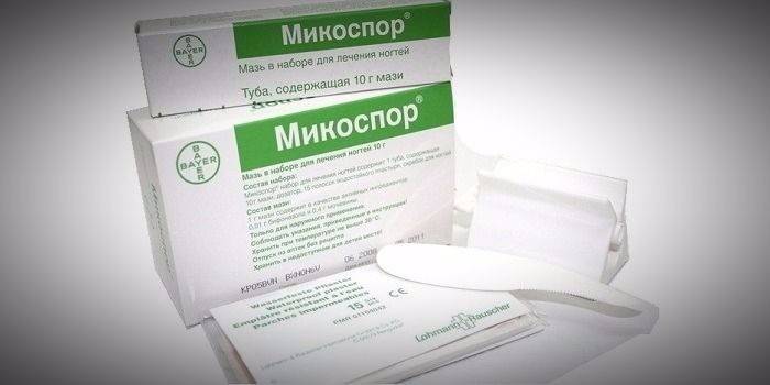Kits de fungos mycospore em embalagens