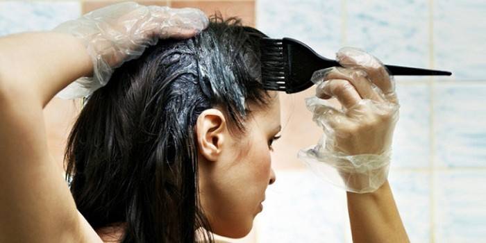 La chica aplica tinte para el cabello