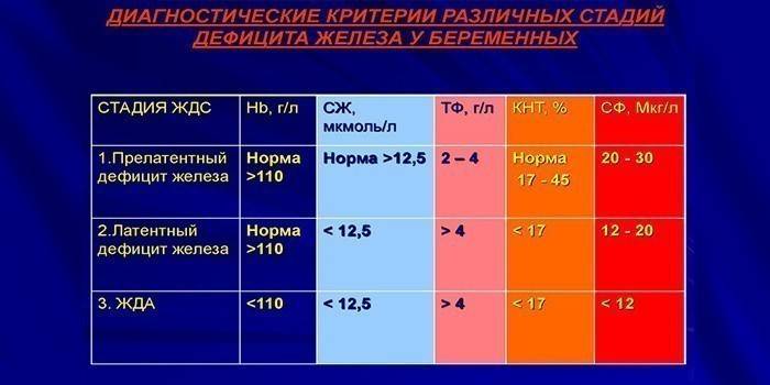 Norma żelaza w surowicy u kobiet w ciąży