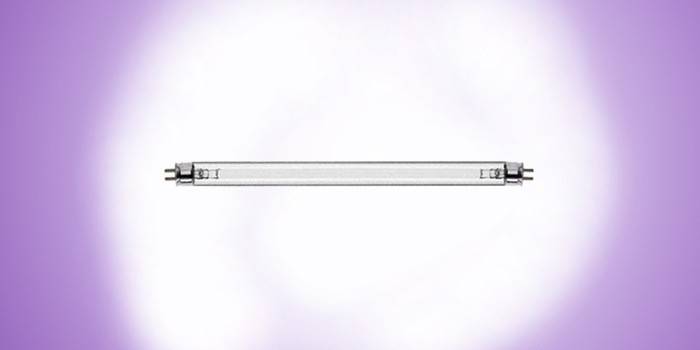 T8UV-15W