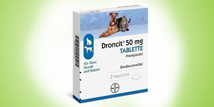 Drontsit