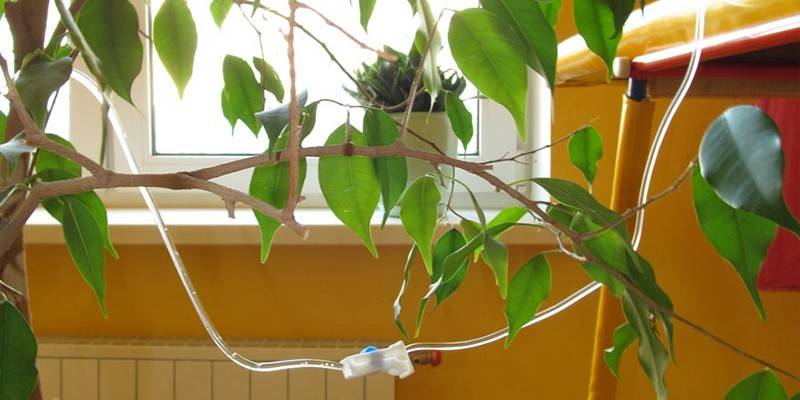 Podlewanie DIY