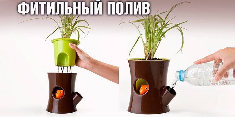 System knota