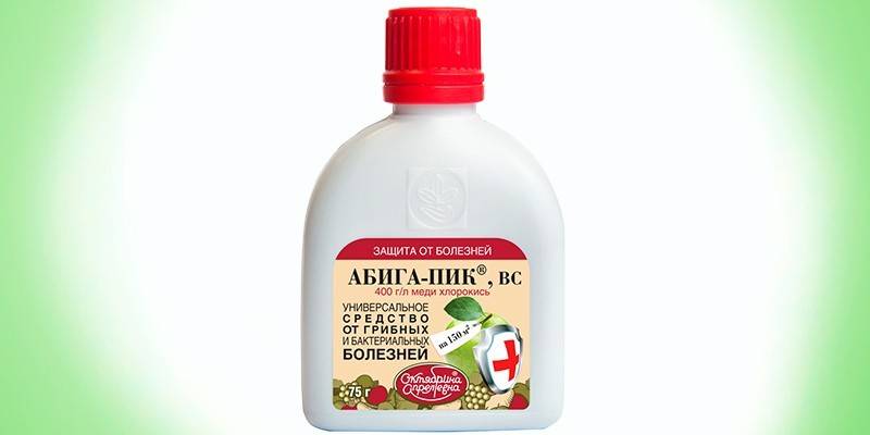 Szczyt Abigi