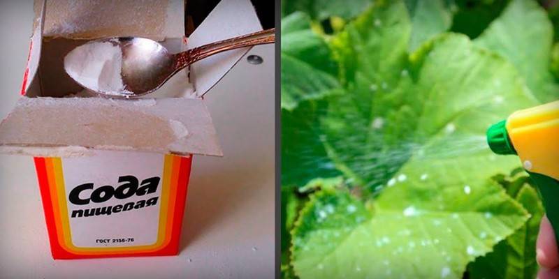 Solución con refresco
