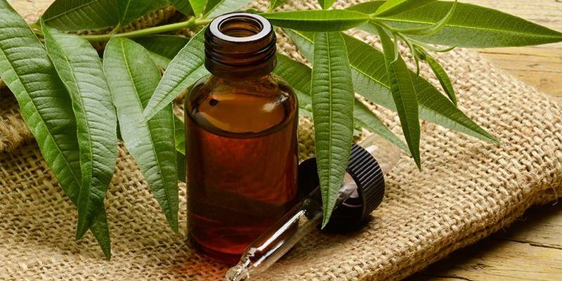 Aceite de árbol de té