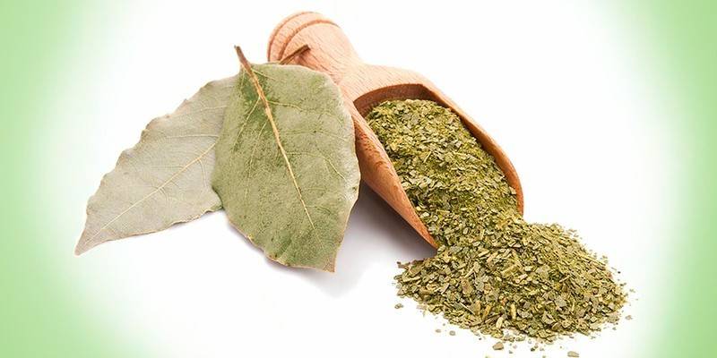 Polvo de laurel