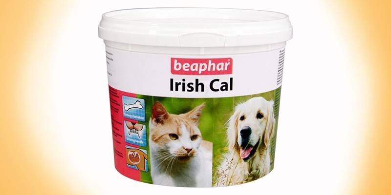 Beaphar irlandzki cal