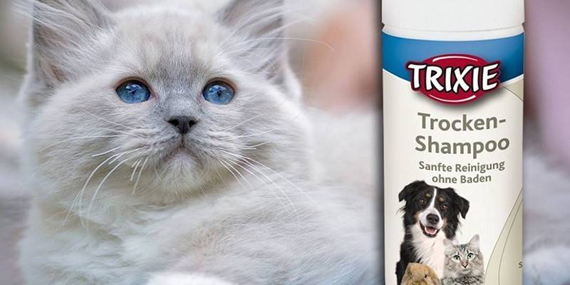 Szampon Trixie Trocken