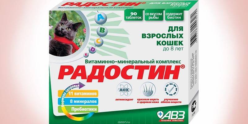 Radostin dla dorosłych kotów do 8 lat