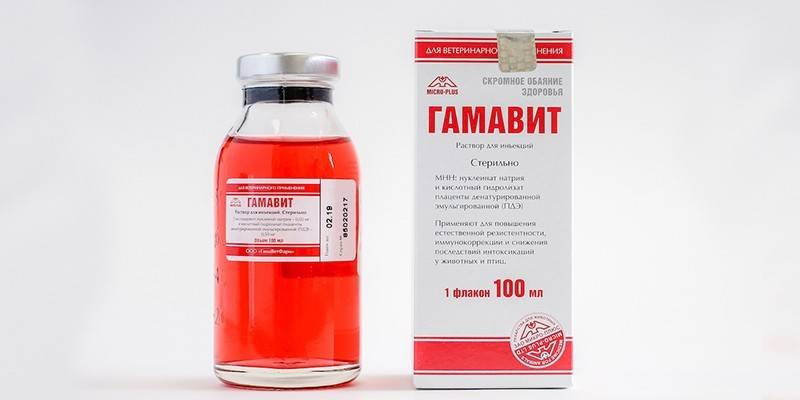 gamavit