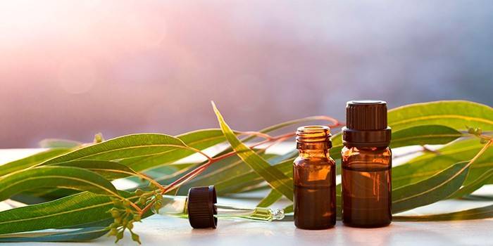 Aceite esencial de eucalipto