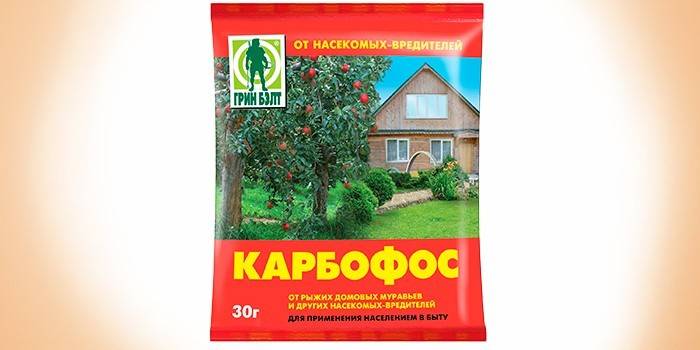 Zielony pas Karbofos