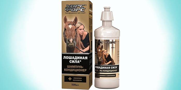 Shampoo de potência