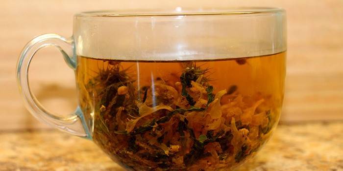 Taça com infusão