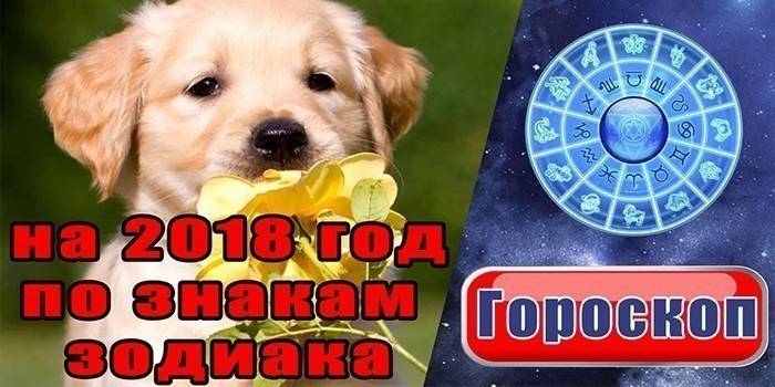 Horoskop pre rok Zeme