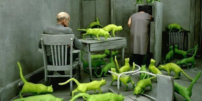 casal de idosos e gatos verdes