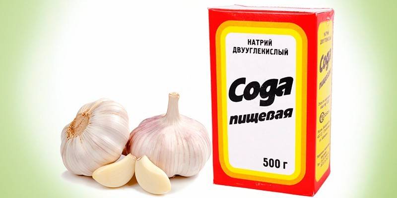 Cesnak sóda