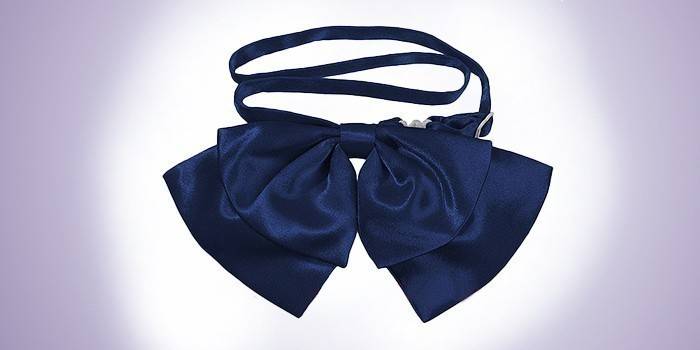 Modrý motýlek pre ženy G-Faricetti BSI-4-1110