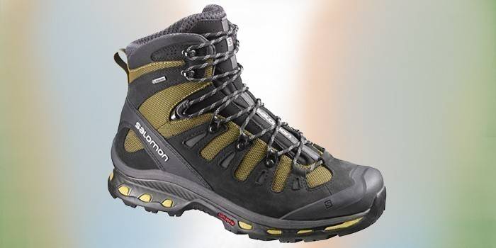 Wysokie buty trekkingowe Salomon Quest 4D 2 GTX