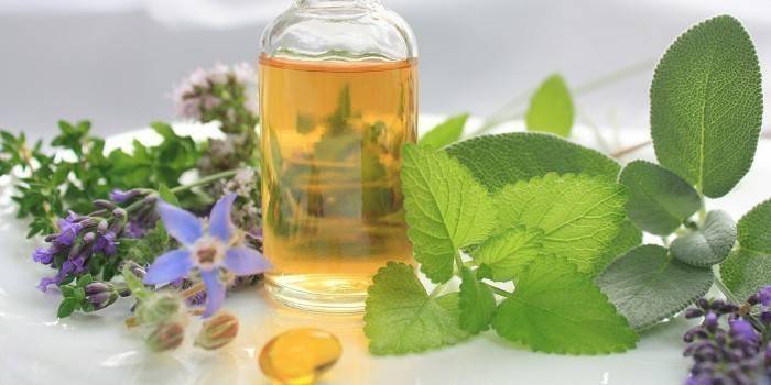 Tintura en botella y hierbas medicinales.