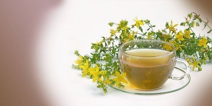 Una decocción de hojas de celidonia en una taza