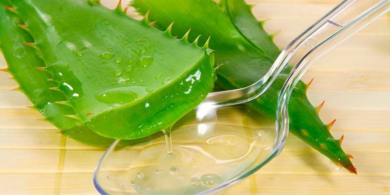 Aloe listy a šťava