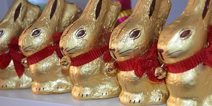 Lebres de chocolate