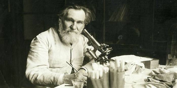 Naukowiec Ivan Mechnikov
