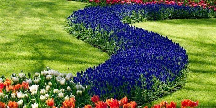 Keukenhof Park