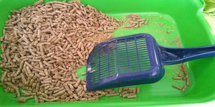 Maca de gato hipoalergênico