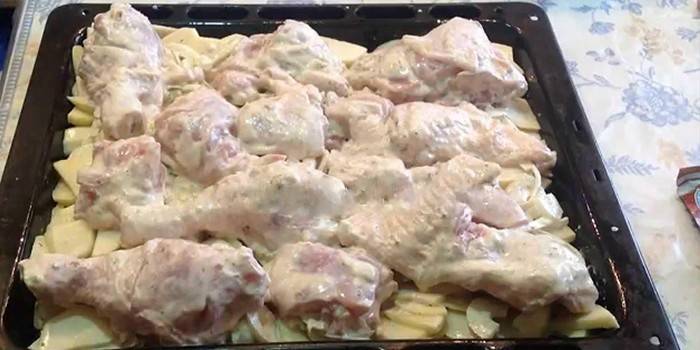 Que encurtir pollo