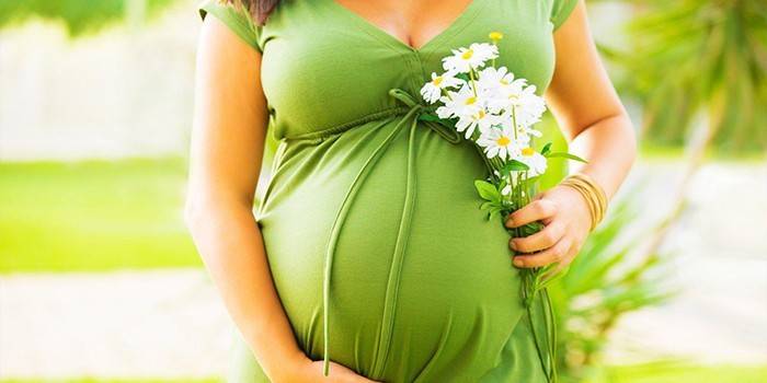Mulher grávida, com, flores, em, mão
