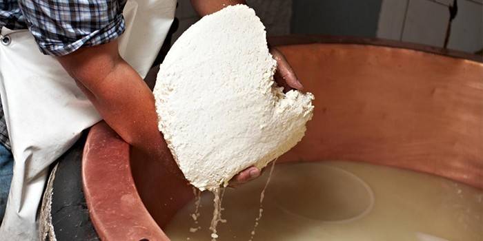 Homem, em, um, queijo, fábrica