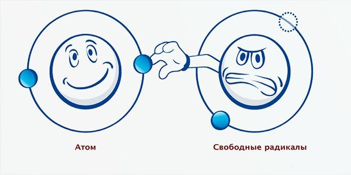 Voľné radikály kradnú elektrón z molekuly