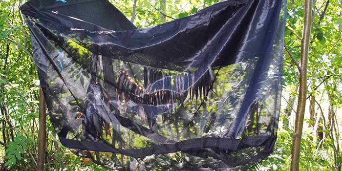 Estrutura suspensa